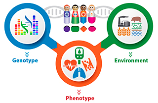 Genotype-Phenotype-Environment representation of PEGS