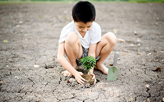 Boy planting little seedling on dry and crack empty land.