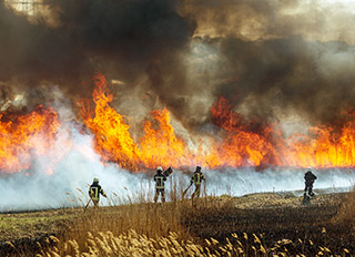firemen fighting a large brush fire