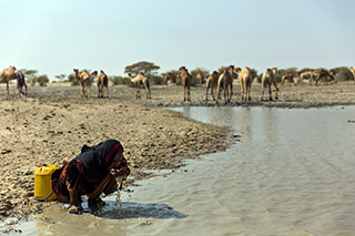 Woman drinking water from a dirty pond