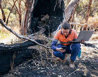 person kneeling next to a burnt tree collecting data