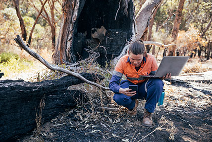 person kneeling next to a burnt tree collecting data