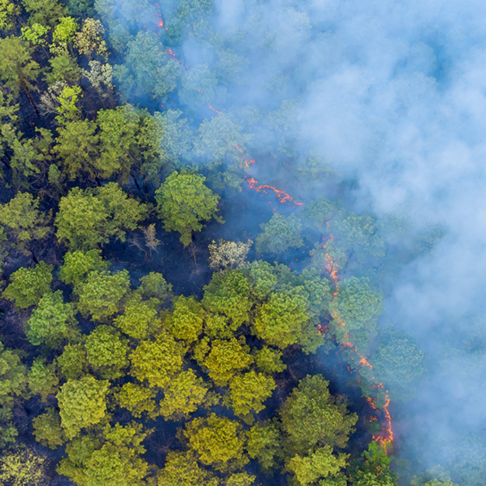 Aerial view of forest burning