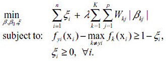 Formula for Adaptive L1 Penalty (Adaptive LASSO)