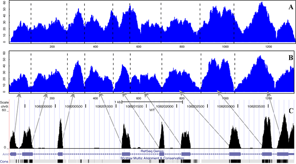 Epicenter output sample plot