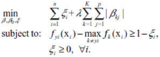 L1 Penalty (Lasso) formula
