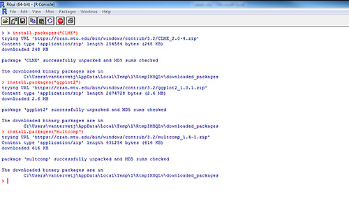 Figure 2. R console screenshot after successful installation of all required modules