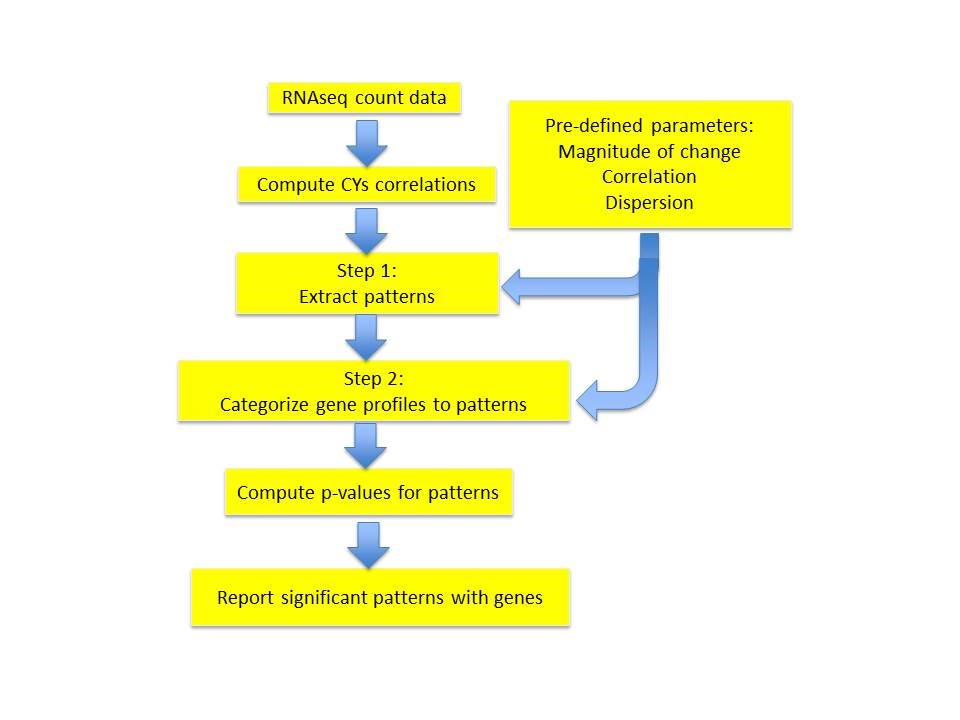 Workflow for EPIG-Seq