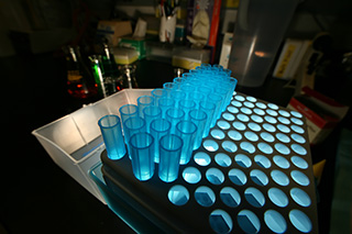 test tubes on a tray decorrative image