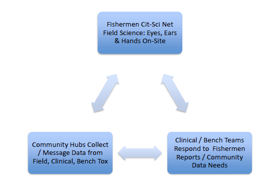 Fisherman Cit-Sci Net Field Science: Eyes, Ears & Hands On-Site, Community Hubs Collect / message data from field, clinical, bench tox, Clinical / Bench Teams respond to fisherman report / community Data needs