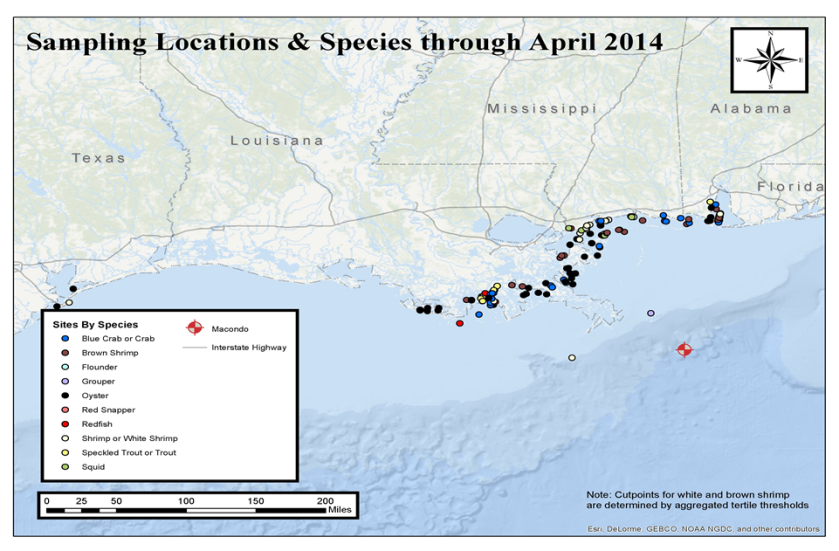 Gulf Coast Sampling Locations and Species through April 2014
