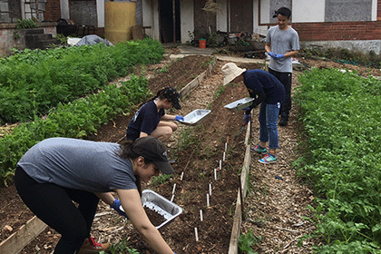The Emory study team collects soil samples at a HWG garden site 