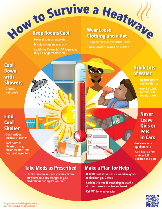 Infographic - how to survice a heatwave