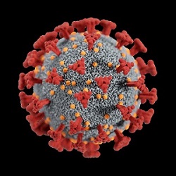 covid-19 molecule