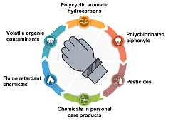 Schematic of wristband and measurable exposures