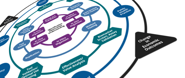 Translational Research Framework