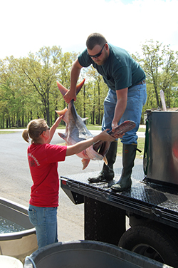 paddlefish handlers