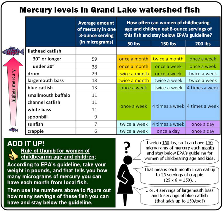 mercury levels in grand lake fish
