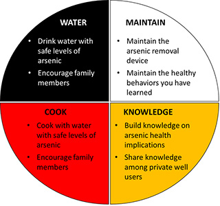 Pie diagram showing water, cook, maintain, knowledge