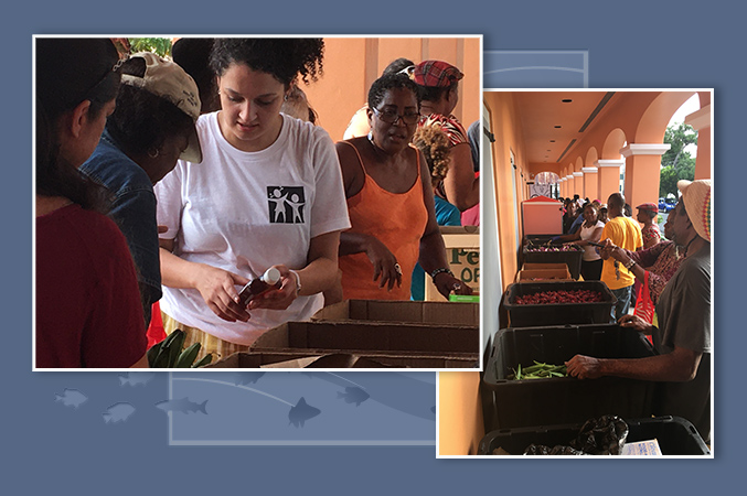 a woman showing something to someon else in a group setting (left) and a group of people lined up next to containers of produce (right)