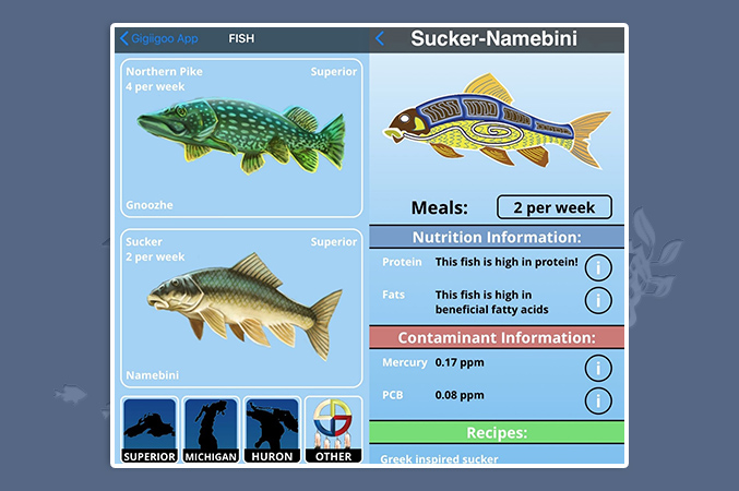 screen shot of the Gigiioo’inaan app showiing types of fish and statistics
