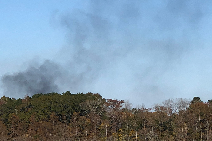 smoke rising behind a treeline