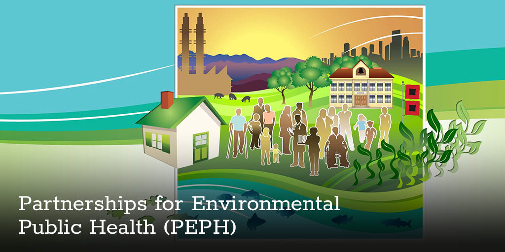 PEPH Newsletter – November 2024