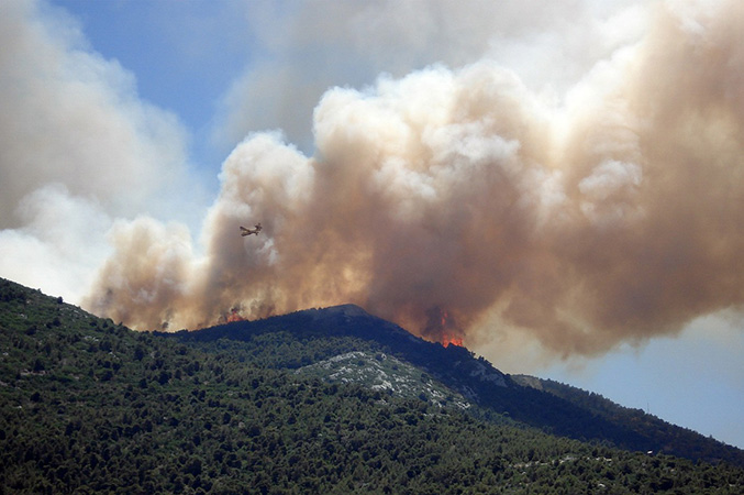 wildfire smoke