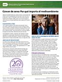 Cáncer De Seno: Por Qué Importa El Medio Ambiente Cover