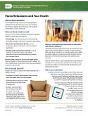 Flame Retardants brochure sheet cover