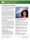 Air Pollution and Your Health