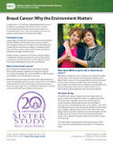 Breast Cancer: Why the Environment Matters