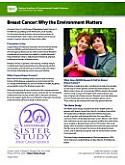 Breast Cancer: Why the Environment Matters