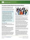 Occupational Health: Why the Environment Matters Cover