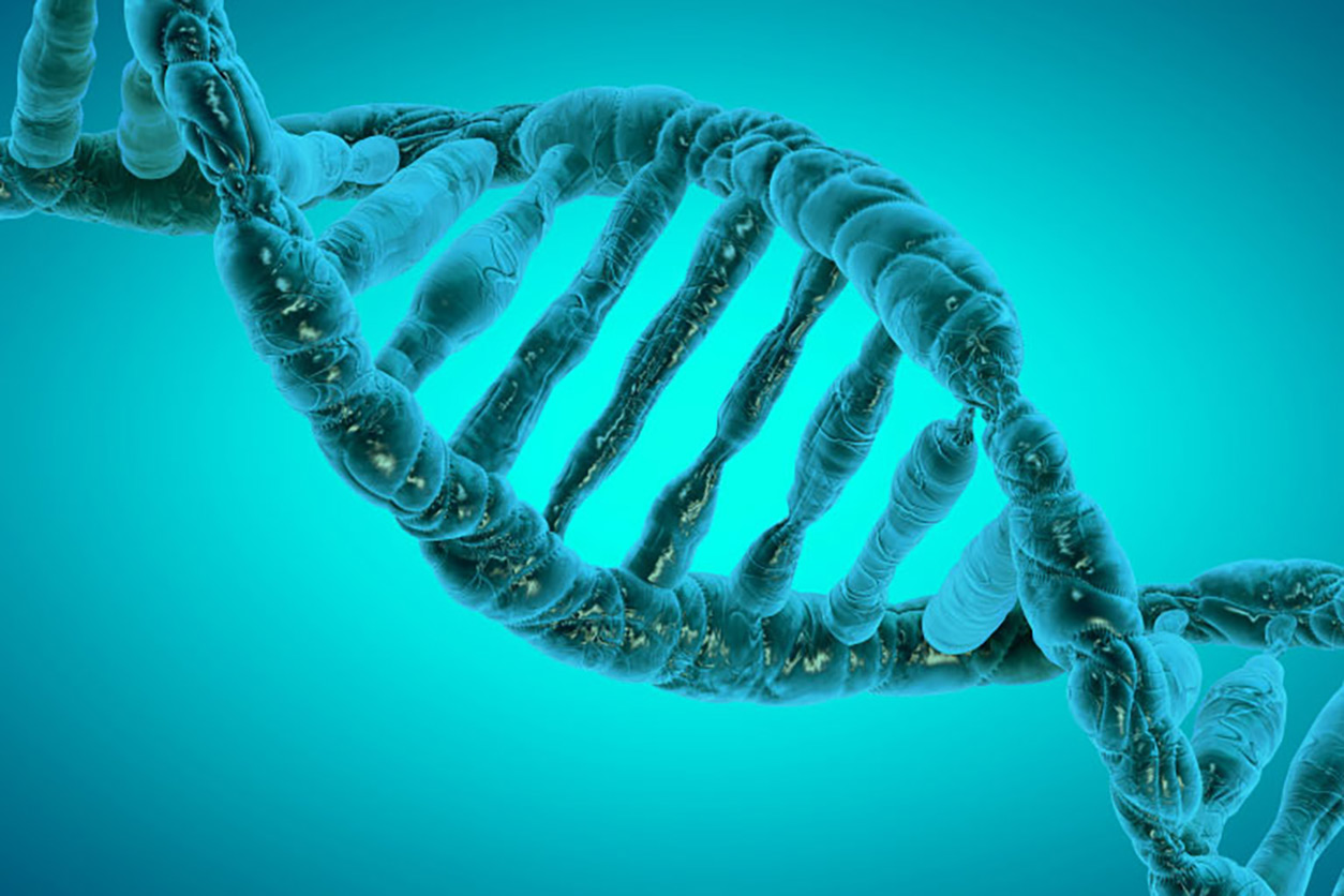 DNA helix