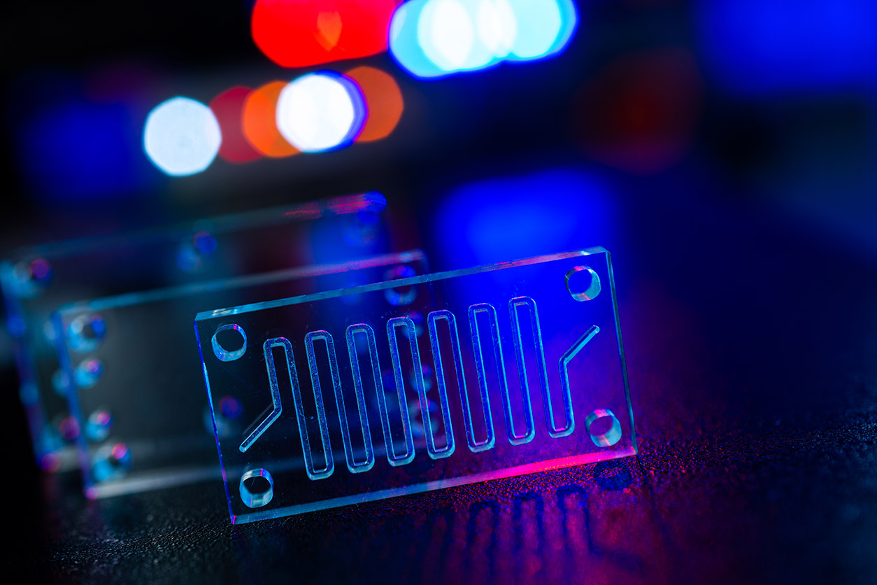 Organ-on-chip systems