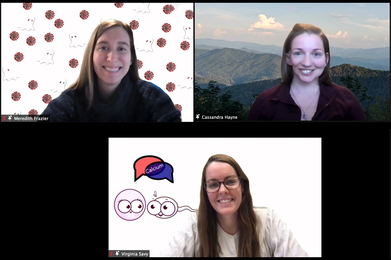 Meredith Frazier, Cassandra Hayne, and Virginia Savy on a Zoom call
