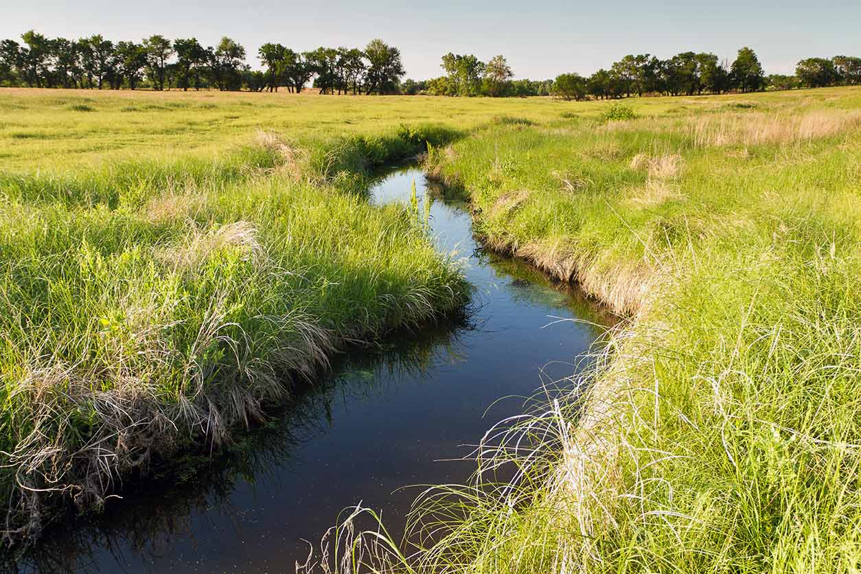creek winding through a green pasture