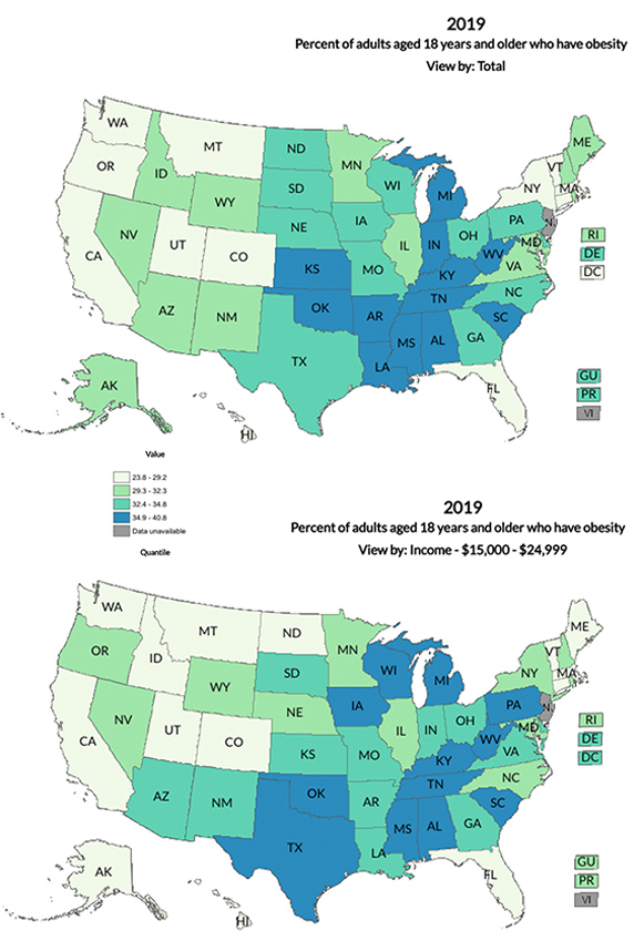 2019 percentage of adults aged 18 and older who have obesity