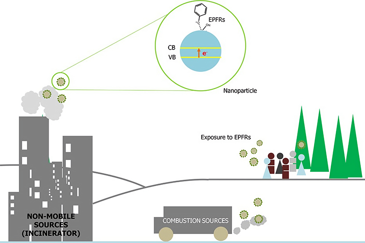 diagram of environmentally persistent free radicals