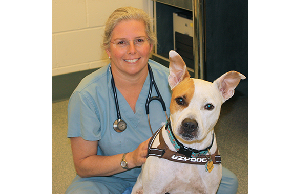 Lisa Moses, V.M.D.