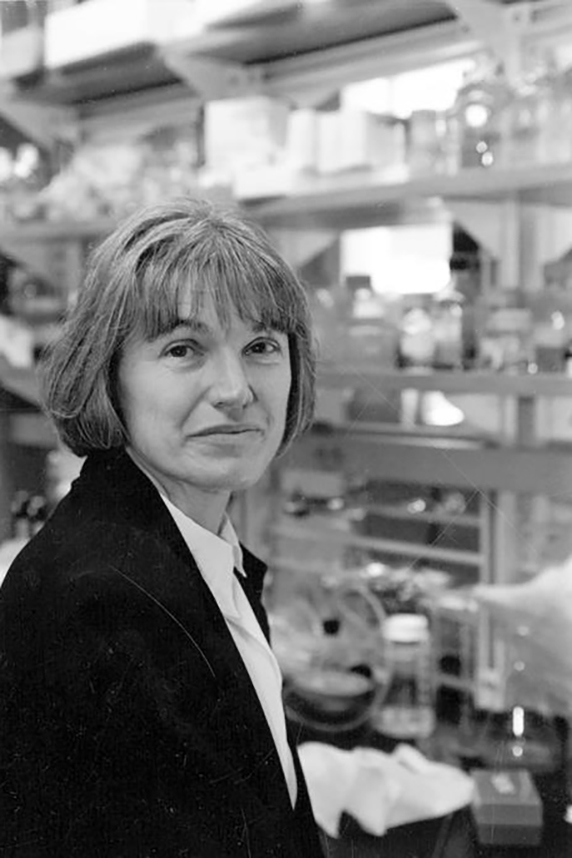 Karen Wetterhahn