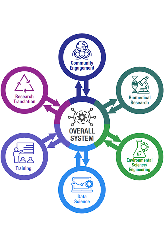 Model of SRP-funded centers with cricles encasing biomedical research, environmental science and engineering, research translation, community engagement, training, and data science .