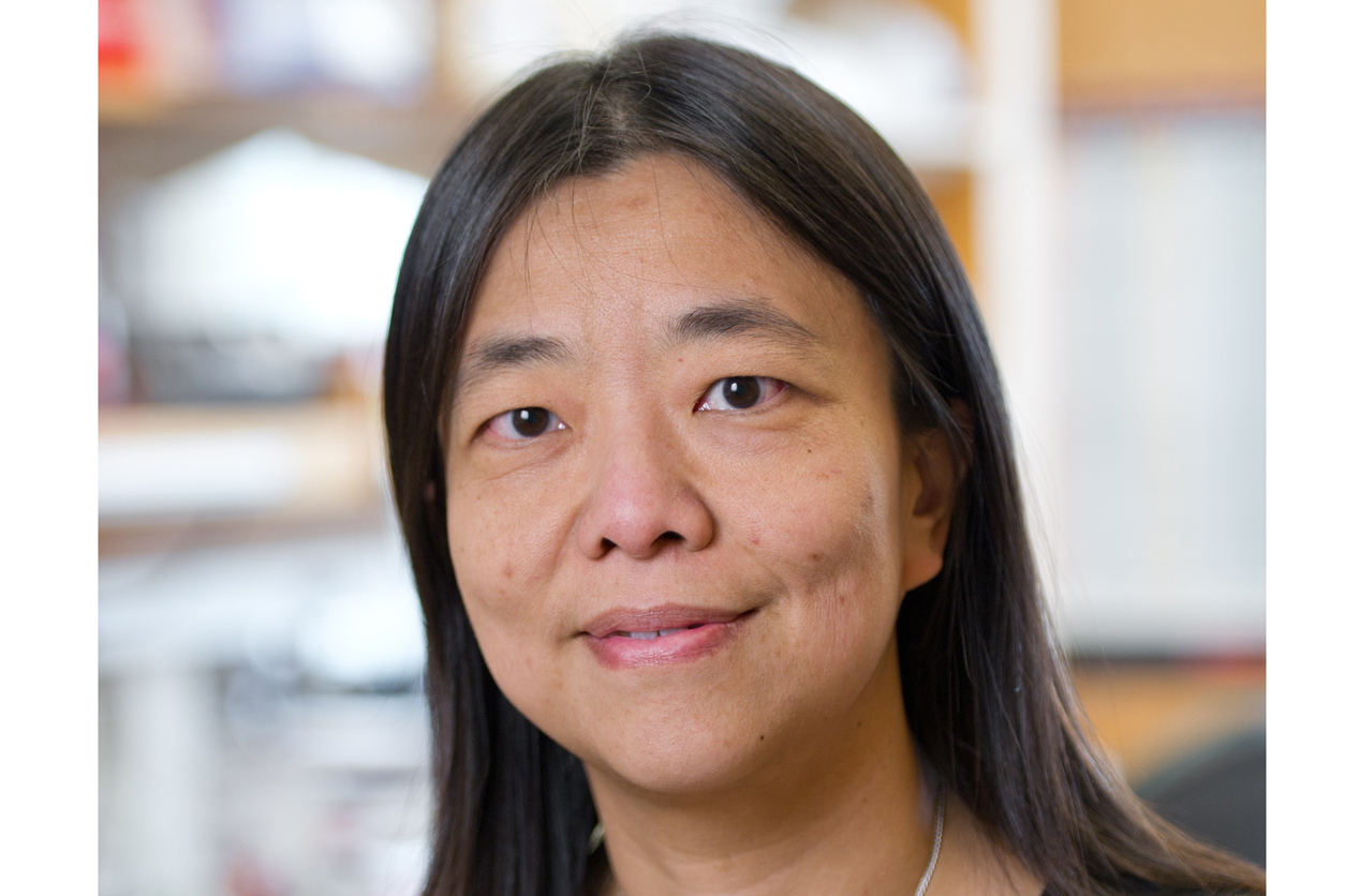 Vivian Cheung, M.D.