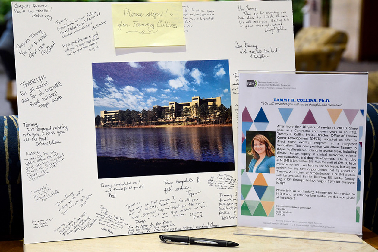 Tammy Collins' Farewell Card