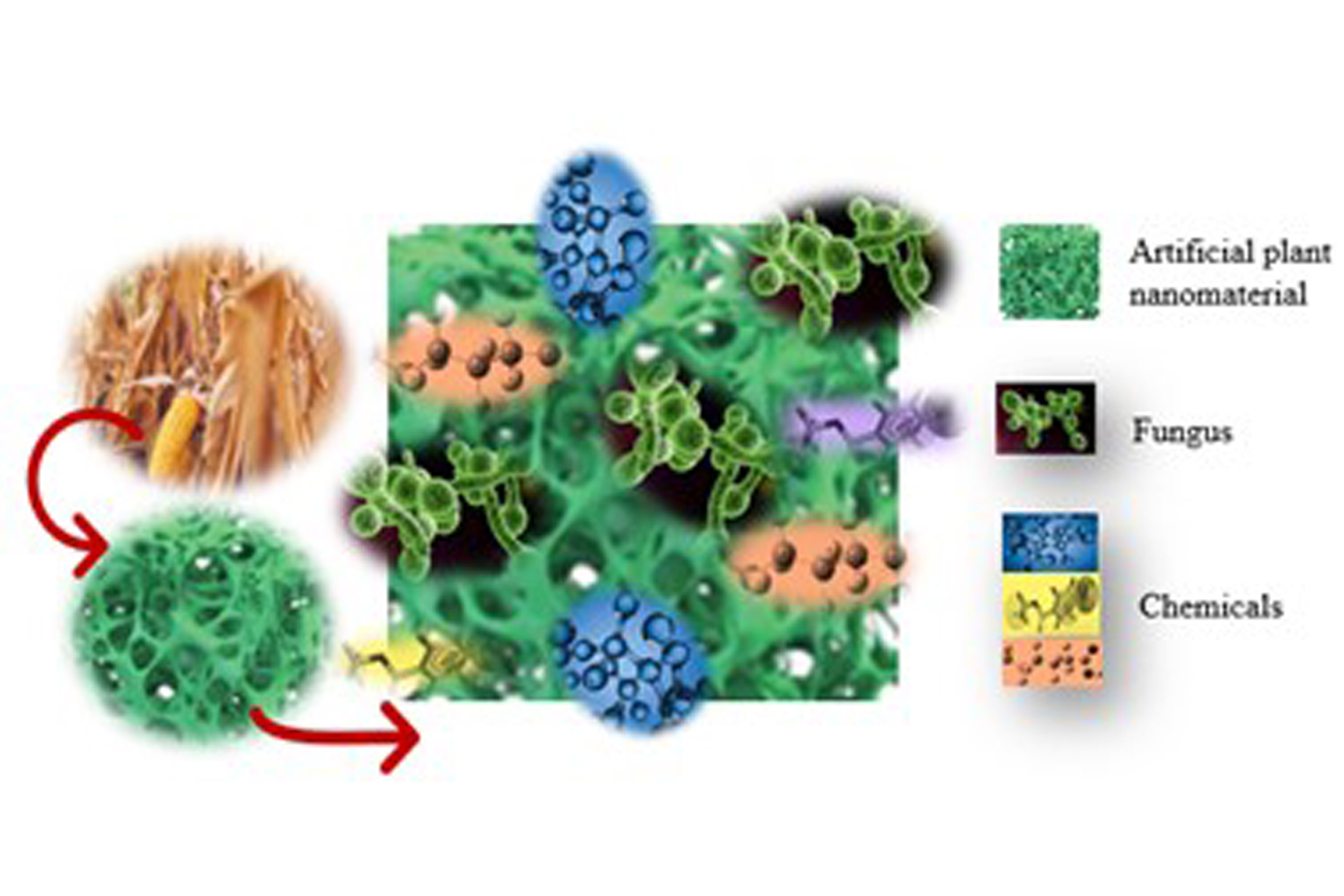 Image of the RAPIMER composite, which is made of chemically modified lignocellulose, derived from corn stover