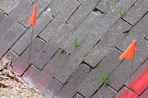 Two orange flags in pavers