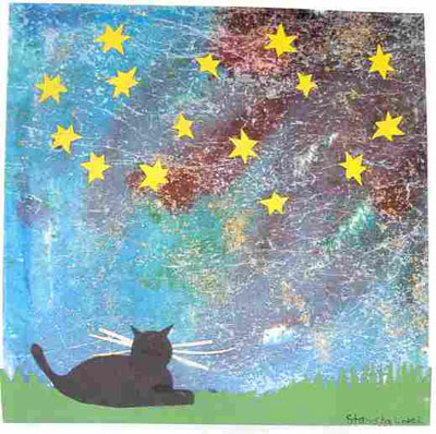 Kitten looking up at the night sky.