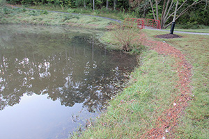 High Tide mark at Memorial Garden
