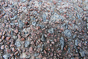 Red mites on pebbles